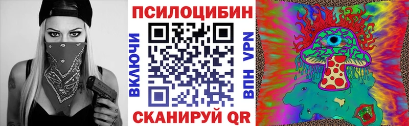 закладки  Аксай  Псилоцибиновые грибы GOLDEN TEACHER 